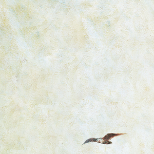 看大陆特级毛片
